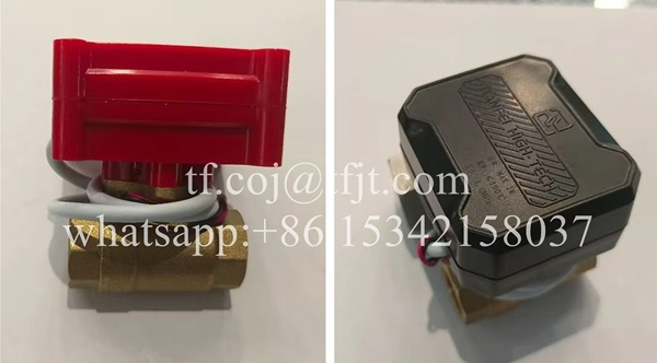 Tianfei Prezzo della valvola a sfera motorizzata ad alta tecnologia CWX-20P (2)