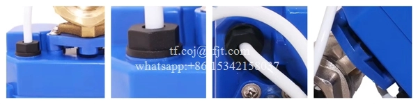 Tianfei Prezzo della valvola a sfera motorizzata ad alta tecnologia CWX-20P (7)