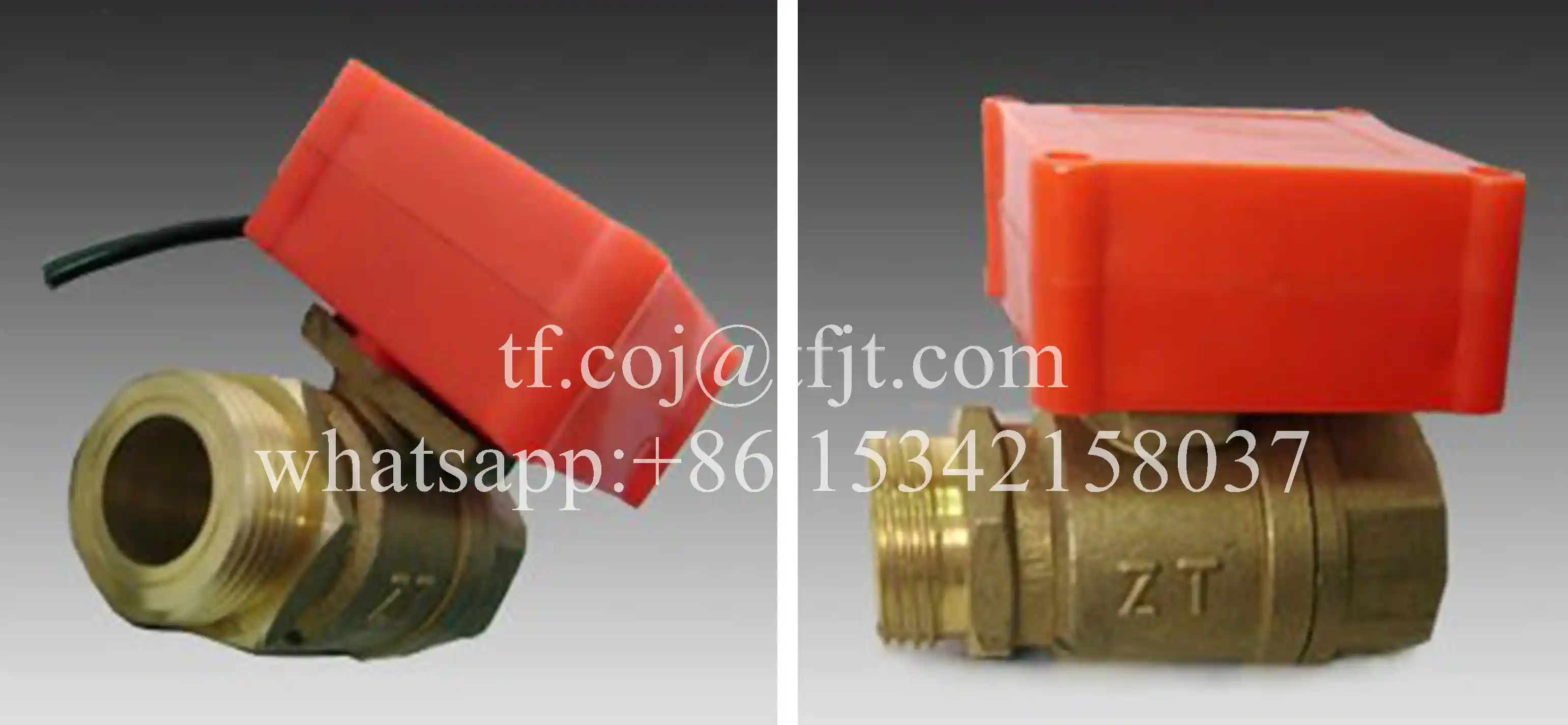 Tianfei Produttore di valvole a sfera elettriche ad alta tecnologia