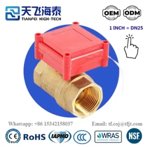 Tianfeiハイテク 1 電動ボールバルブ CWX-20P (6)